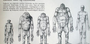 Fjernundervisning forløb 2