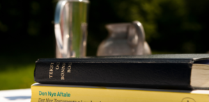 Inkluderende opstartsgudstjeneste