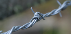 Quiz og byt - Det onde i vores liv?