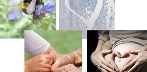 Heldagsprogram om gudsbilleder