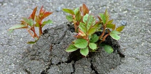 Andagt 2.s.e.h3k (I)