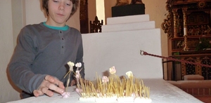 Jesu liv i skumfiduser