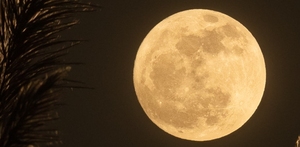 Reflekser, månen og verdens lys