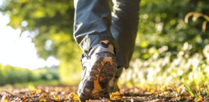 Gå en tur med fadervor - online opgave