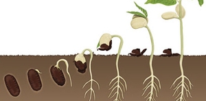 Andagt sidste s.e.h3k (II)