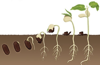 Andagt sidste s.e.h3k (II)