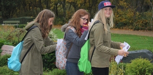 Luther og reformationen - stjerneløb