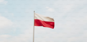 Info til polske elever