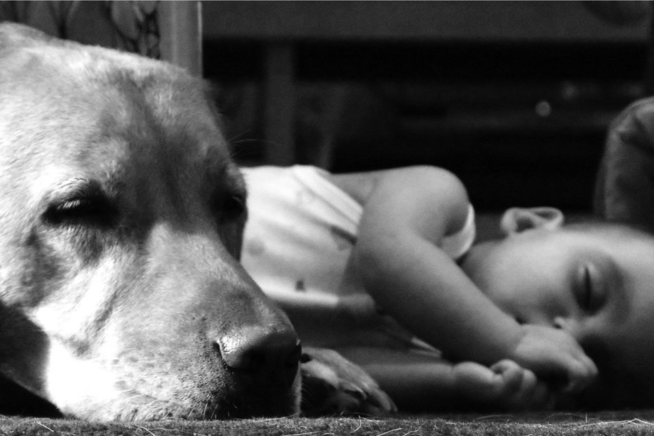 Andagt Seksagesima (II)