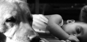 Andagt Seksagesima (II)