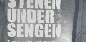 Inkarnationsnoveller