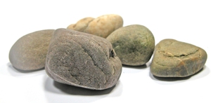 ”Vi bærer ikke det tunge alene!”  - om tilgivelse