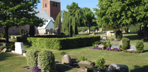 Heldagsprogram om liv og død