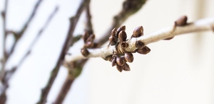 Andagt 21.s.e.trin. (I)