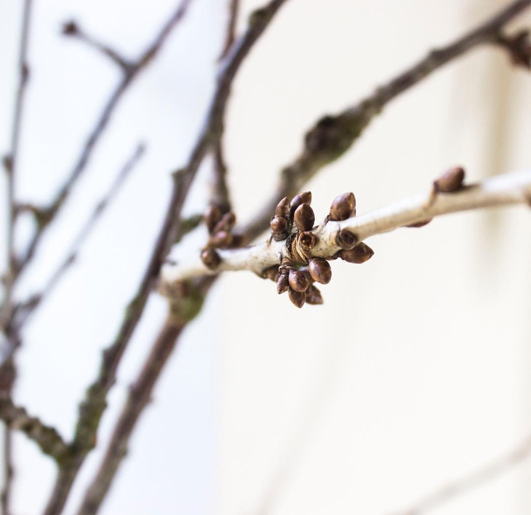 Andagt 21.s.e.trin. (I)