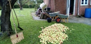 Konfirmander og menighedspleje