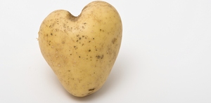 Andagt Seksagesima (I)