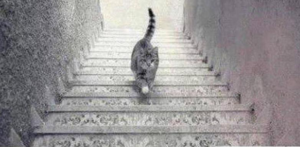 Andagt Fastelavn (II)