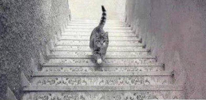 Andagt Fastelavn (II)