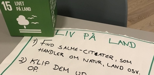 Workshop med verdensmål