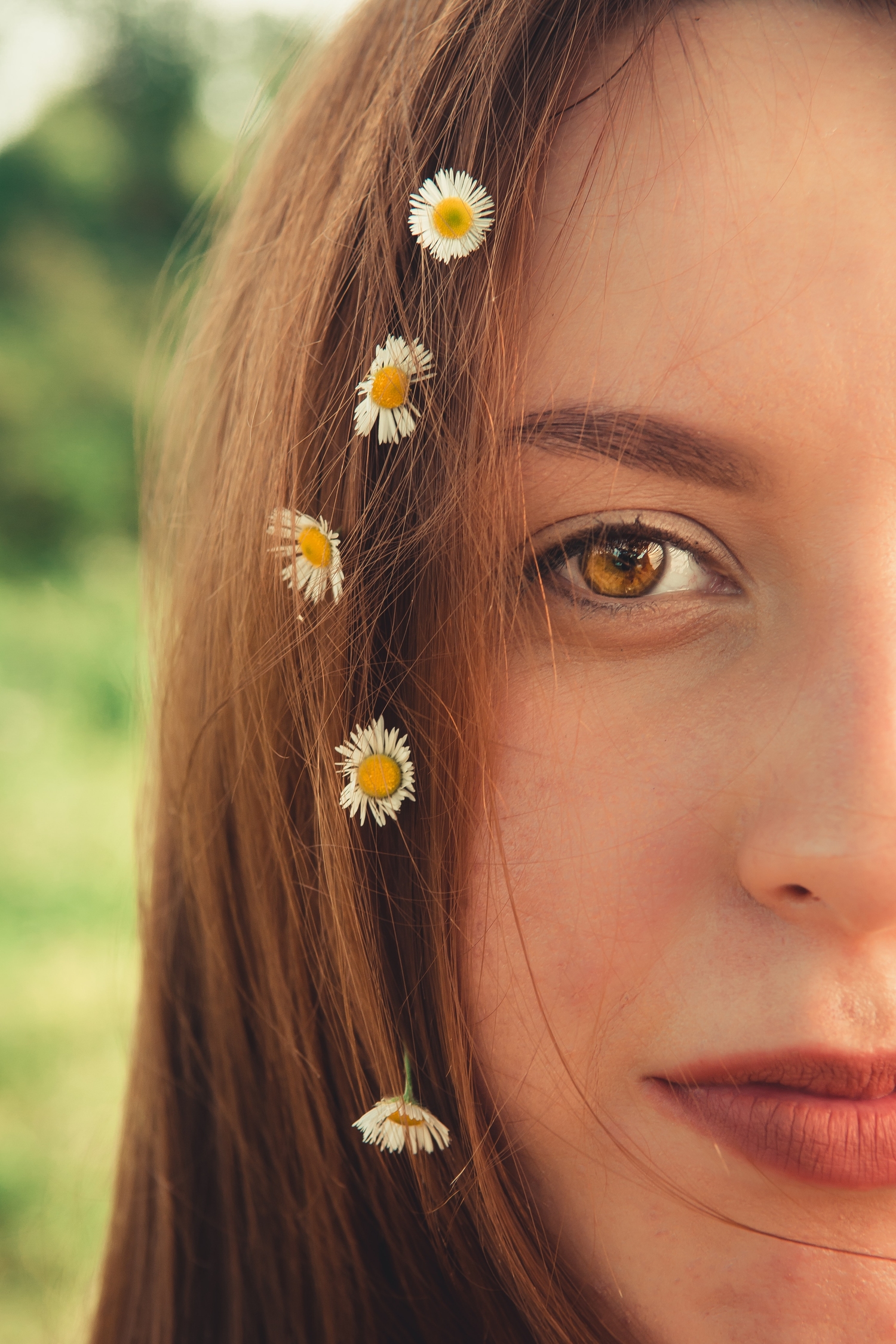 Eventyret om kongen og blomsterpigen