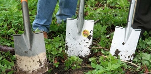 Andagt septuagesima (II)