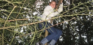 Livsmod, energi og kraft