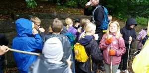 Pilgrimsvandring med sanser