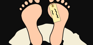 Livet bliver til, hvor det gror