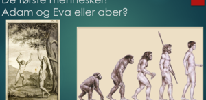 Jeorpady-spørgsmål