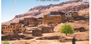 Pinse escape room - Online